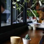 Scopri in quanti mesi un seme di bonsai cresce