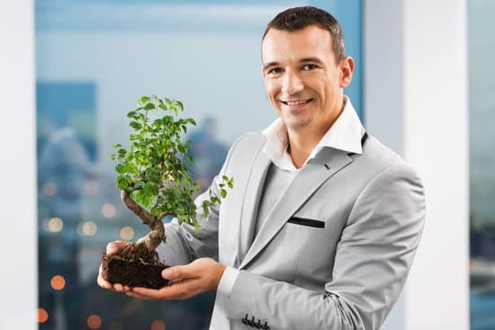 Acero Palmato Bonsai 1 Scheda tecnica: come coltivare l'acero palmato bonsai