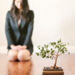 Olmo Cinese Bonsai Olmo cinese bonsai: l'arte millenaria del bonsai applicata a questo splendido albero orientale