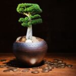 Bonsai Più Costoso Scopri il Bonsai più costoso mai visto e ammiralo con stupore