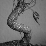 Acquista il tuo Bosso Bonsai su misura per un tocco di eleganza nel tuo giardino