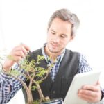 Quanto E' Difficile Tenere Un Bonsai Scopri quanto è difficile tenere un bonsai con questi consigli esperti