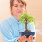 Scopri il miglior vaso per bonsai IKEA per esaltare la bellezza del tuo bonsai