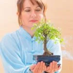 Scopri il miglior vaso per bonsai IKEA per esaltare la bellezza del tuo bonsai