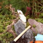 Come Costruire Bonsai Pond Guida pratica su come costruire un Bonsai Pond in 5 semplici passaggi