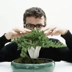 Come Disti Nguere Ficus Bonsai Da Ficus Normale dimensioni ridotte, potatura regolare, vaso piccolo