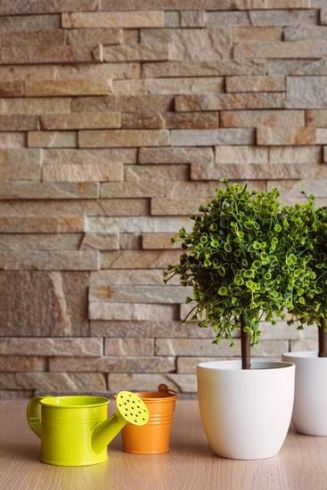 Come Lucidare Le Foglie Del Bonsai 1 come lucidare le foglie del bonsai