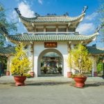 Come Far Rivivere Un Baobab Bonsai Con Radice Troppo Bagnatre ripiantarlo in terreno drenante