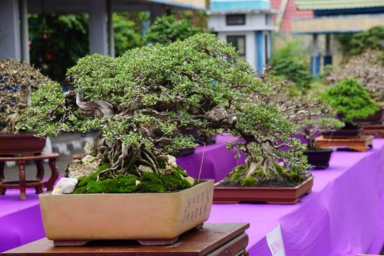 passo dopo passo per un risultato perfetto