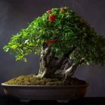 consigli per una corretta manutenzione