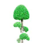 Scopri i migliori tempi per concimare il bonsai olivo e mantenerlo sano e rigoglioso