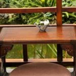 Quanto Si Deve Bagnare Un Bonsai Scopri quanto si deve bagnare un bonsai per mantenerlo sano e rigoglioso