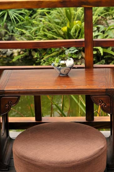 Scopri quanto si deve bagnare un bonsai per mantenerlo sano e rigoglioso