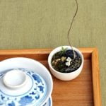 Dove Mettere Un Bonsai consigli per la collocazione ottimale in casa o in giardino