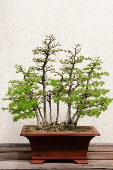 consigli, fonti e tecniche