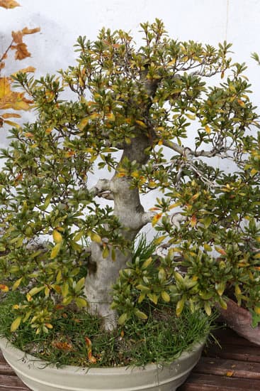 metodi e consigli pratici