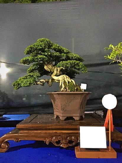 consigli e tecniche imperdibili per il suo benessere