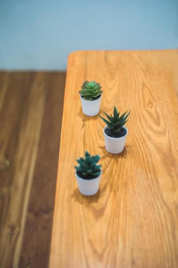 Scopri come si bagnano i bonsai per mantenerli sani e belli