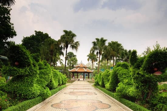 Quando E' Meglio Tagliare I Bonsai 1 consigli per la potatura