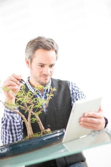 Come Potare Bonsai Di Zelkowa 1 Scopri come potare bonsai di Zelkowa per mantenerli sani e armoniosi