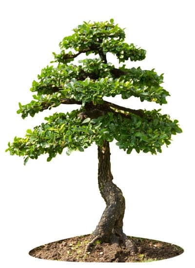 consigli sui luoghi adatti per la sua posizione invernale