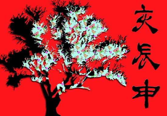 Quanta Acqua Bisogna Dare a Un Bonsai Ginseng 1 Monitora costantemente la quantità d'acqua per il bonsai ginseng