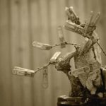 Dove Acquistare Bonsai in Contro Assegno Scopri dove acquistare bonsai in contanti o con assegno presso i migliori vivai della tua zona