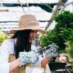 Come Capire Se E' Un Bonsai Da Interno Oppureda Esterno se da esterno, resistenza alle variazioni climatiche; se da interno, tolleranza alla luce e all'umidità