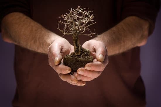 guida dettagliata passo dopo passo