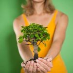 Come Fare Un Quercia Bonsai Creare un quercia bonsai richiede pazienza, cura e conoscenza delle tecniche di potatura e modellatura