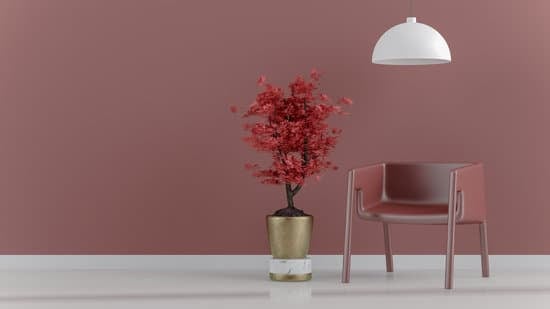 Quanto Costa Un Bonsai Di 20 Anni 1 quanto costa un bonsai di 20 anni