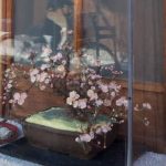 Scopri dove comprare a Boltiere bonsai di alta qualità per il tuo giardino zen