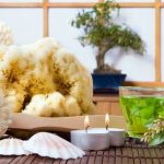 Come Fare Il Muschio Per Bonsai Guida dettagliata su come fare il muschio per bonsai, passo dopo passo, per garantire la crescita sana delle piante