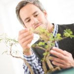 potatura, concimazione e esposizione alla luce solare