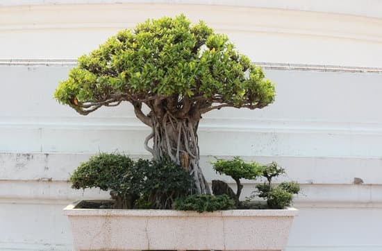 segui i consigli e le tecniche per un risultato impeccabile