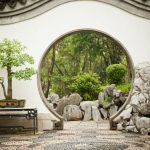 consigli pratici e soluzioni efficaci per ripristinare la salute della pianta