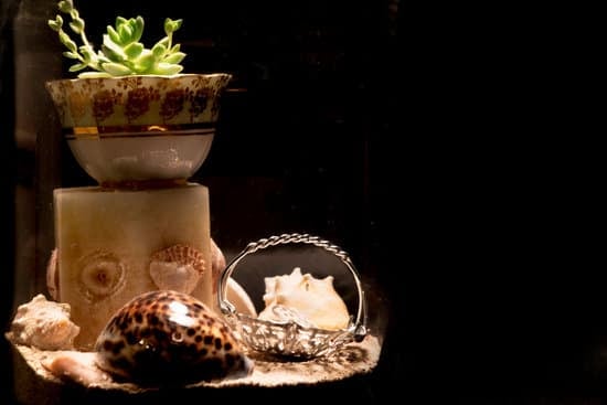 Quando Potare Il Bonsai La Prima Volta 1 Scopri quando potare il bonsai la prima volta per favorirne la crescita e la forma desiderata