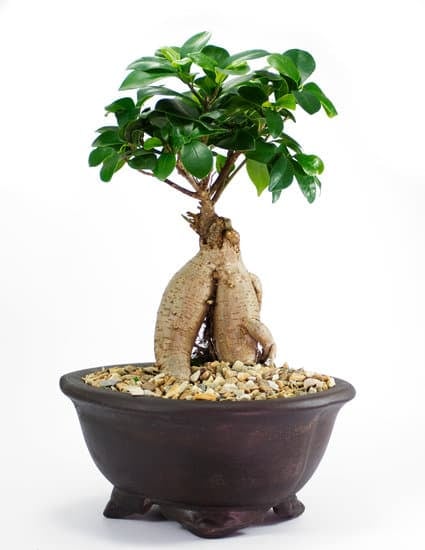 scopri i prezzi convenienti e originali per il tuo evento speciale