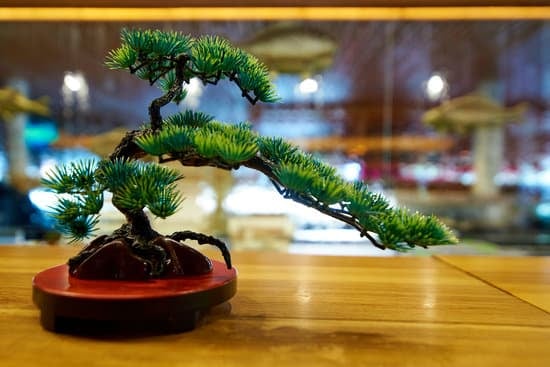 Bonsai Frasi 1 Scopri le più belle Bonsai Frasi per ispirare la tua giornata e armonizzare la tua vita