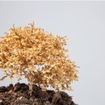 eleganza e armonia floreale per il tuo spazio verde