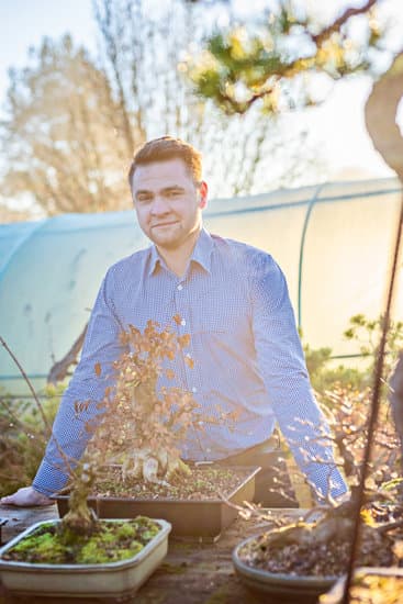 Scopri come prevenire i puntini bianchi sulle foglie del bonsai con semplici accorgimenti naturali