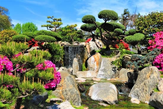 Albero Di Natale Bonsai 1 - Scopri come decorare il tuo piccolo albero di Natale bonsai con stile e creatività