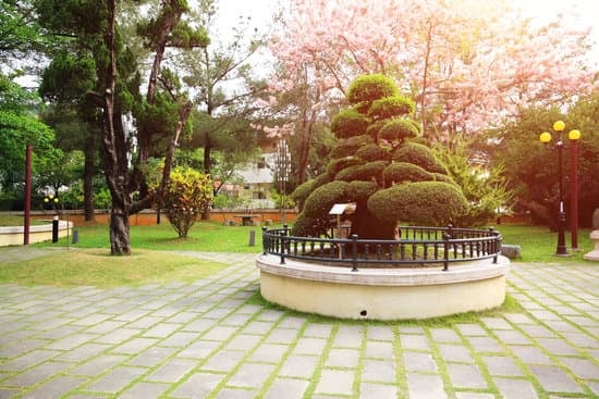 Giardino Museo Bonsai Della Serenità 1 Visita il Giardino Museo Bonsai della Serenità per scoprire l'arte millenaria dei mini alberi