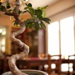 guida completa e consigli pratici