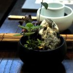 Scopri dove comprare un bonsai di alta qualità per arricchire la tua casa o il tuo giardino