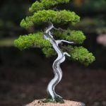 Scopri i segreti su come si cura bonsai Zelkova per un'ottima crescita e bellezza