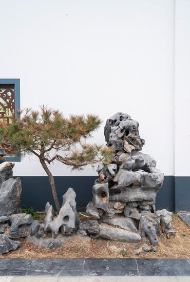 Bonsai Lodi 1 Acquista il miglior bonsai a Lodi e trasforma il tuo giardino in un'opera d'arte vivente