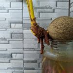 elegante, resistente e simbolo di armonia naturale