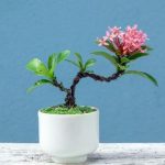 guida pratica per la cura e la crescita della pianta