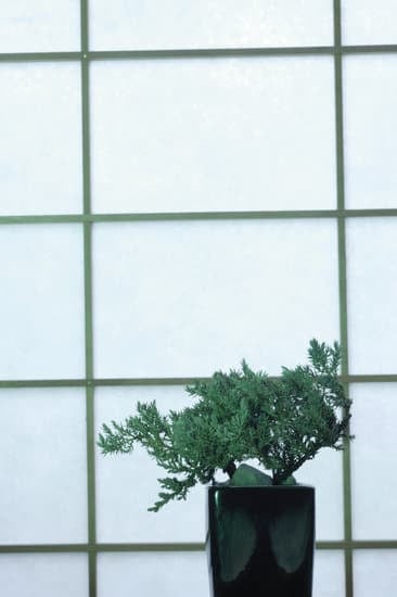 Centro Bonsai Piccin 1 laboratori, eventi e bonsai di alta qualità